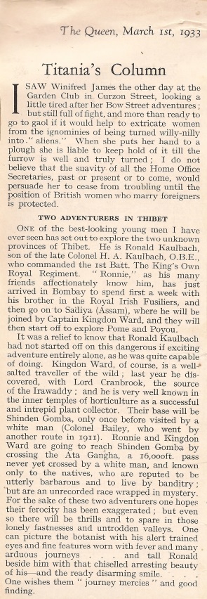 Scan of newspaper cutting