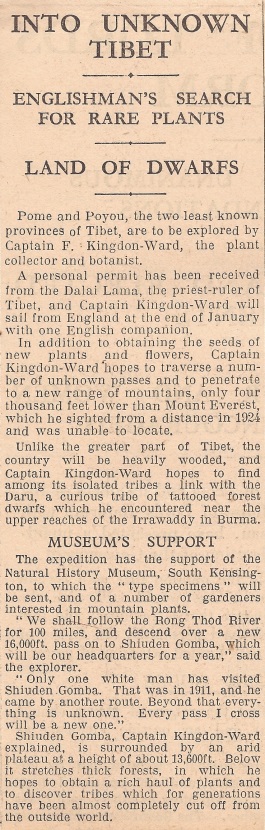 Scan of newspaper cutting